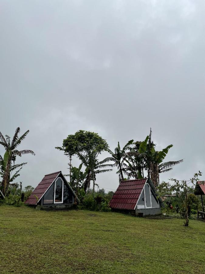 Bugo Camp Glamping & Natural Activity Munduk Eksteriør billede