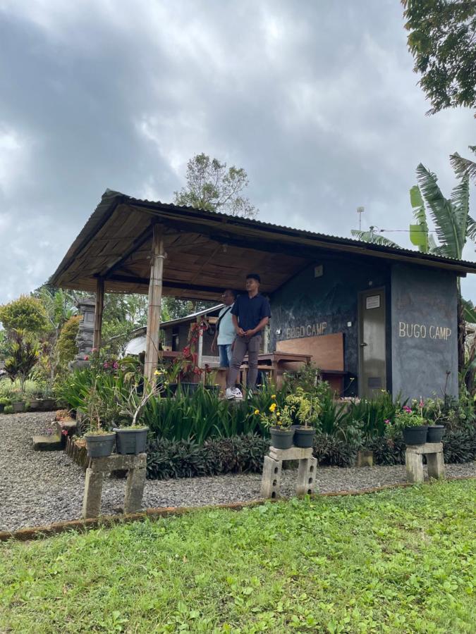 Bugo Camp Glamping & Natural Activity Munduk Eksteriør billede