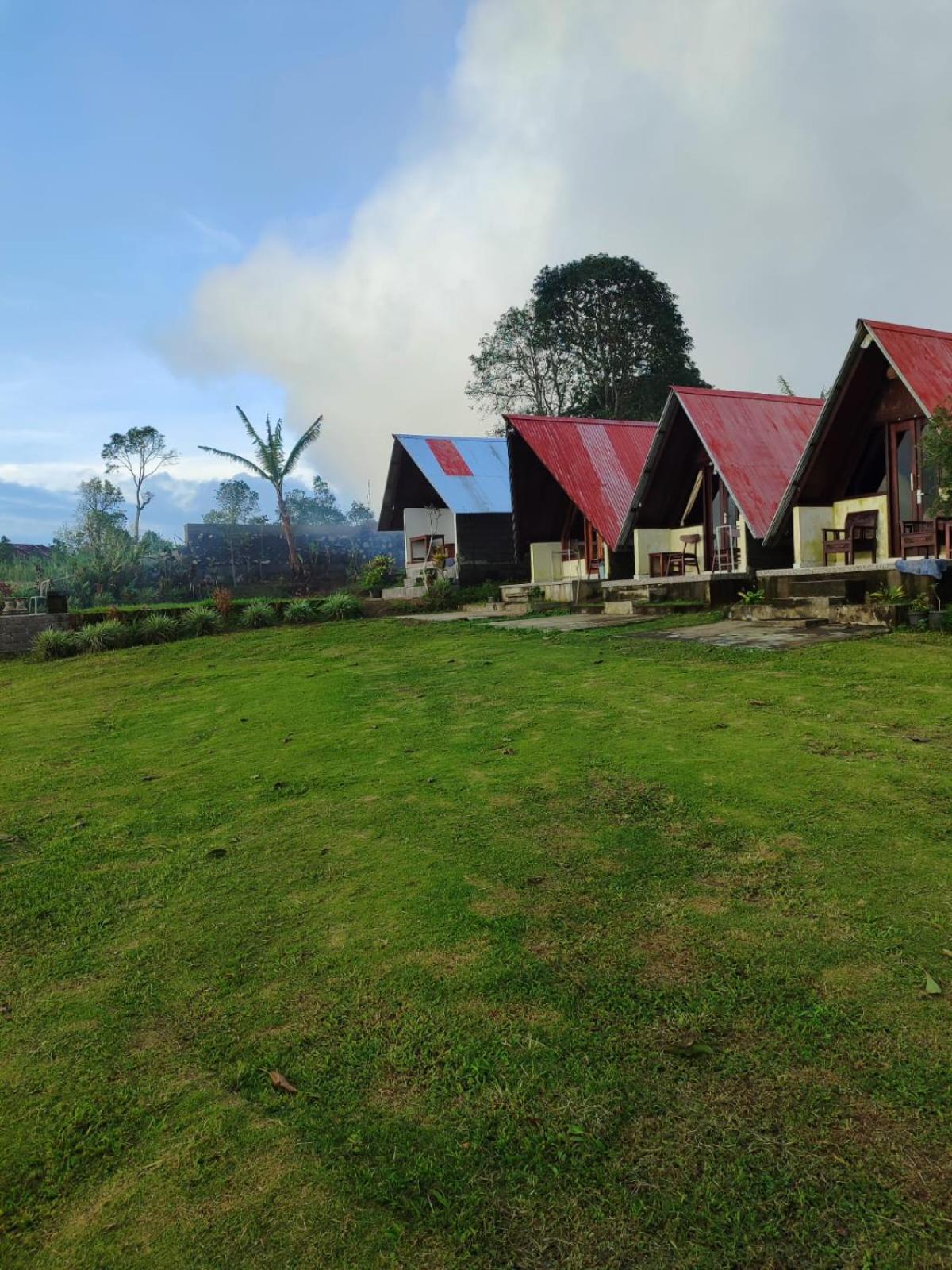 Bugo Camp Glamping & Natural Activity Munduk Eksteriør billede